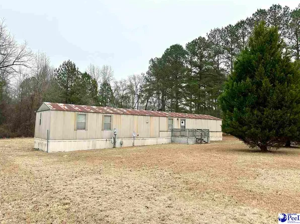 259 Quail Run Ln, Cheraw, SC 29520