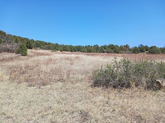 3rd image of 10564 County Road 69