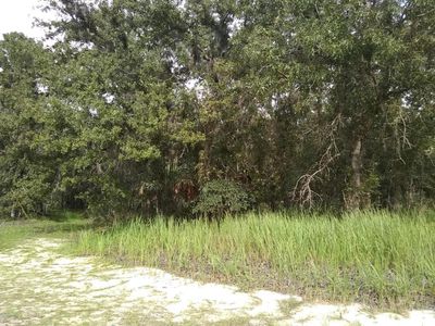 146 Syble Ave, Palatka, FL, 32177