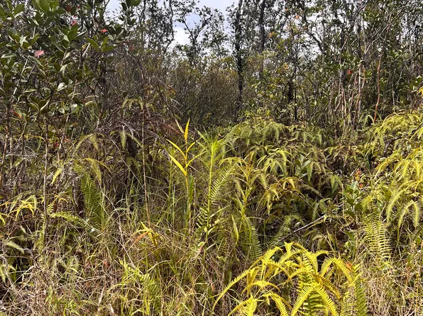 ROAD 6 (OOAA), Kurtistown, HI 96760