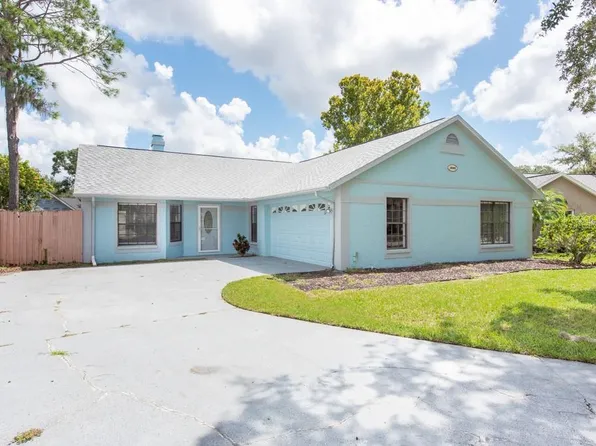 18305 Big Pond Way, Tampa, FL 33647
