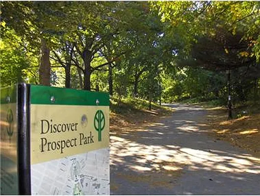 Rented by Douglas Elliman | media 6