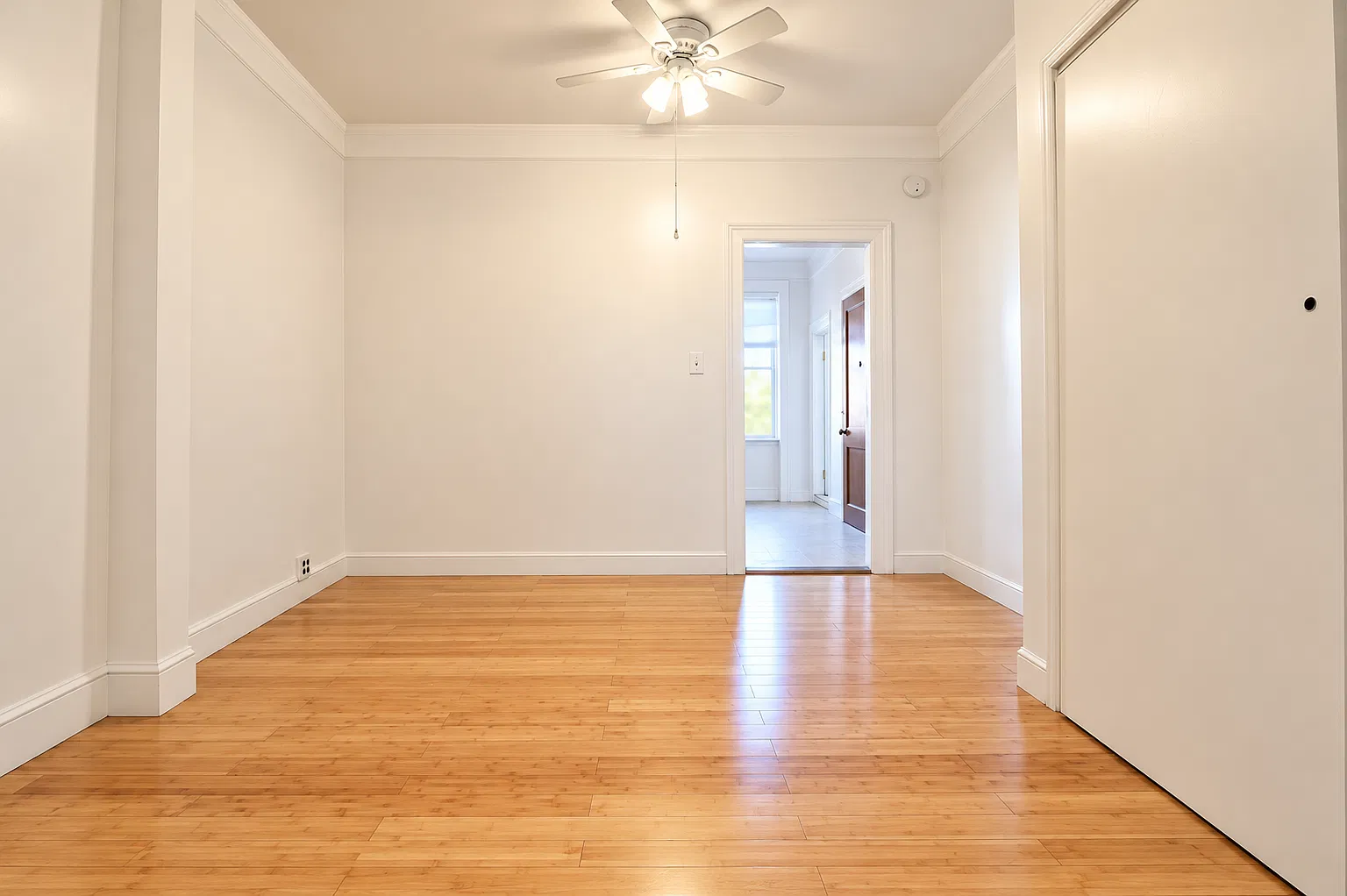117 Nelson Street — Photo 4