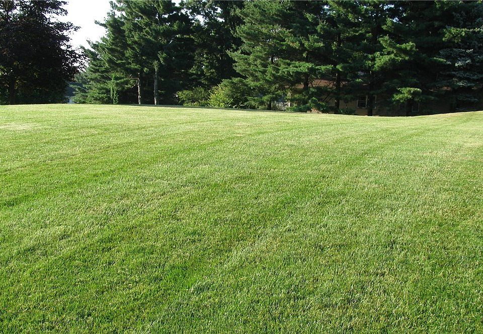 2nd image of Apple Blossom Ln