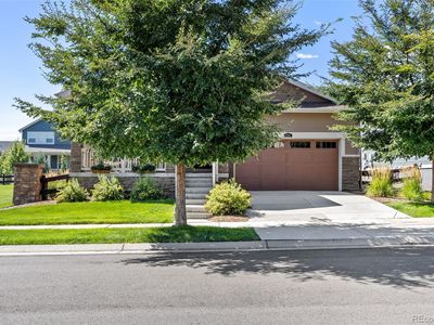 736 Cabot Drive, Erie, CO, 80516