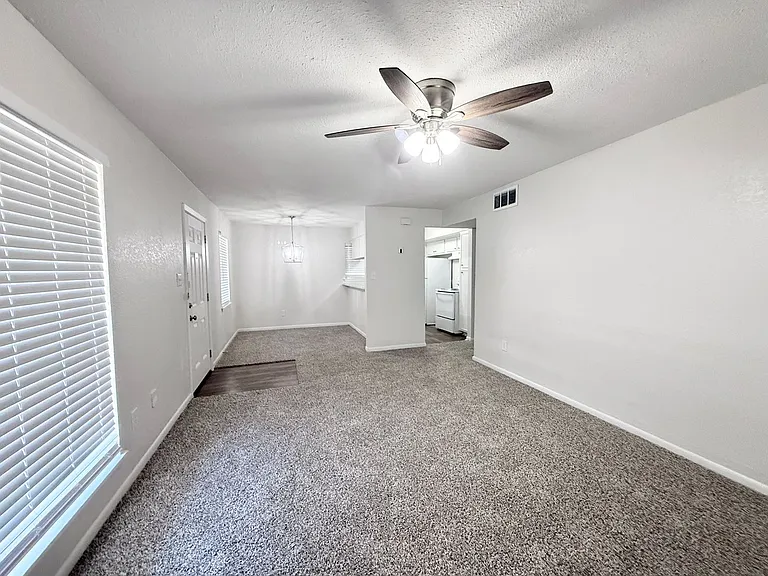 CED21BS — Photo 2