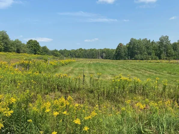 Saint Louis Rd, Phelps, WI 54554