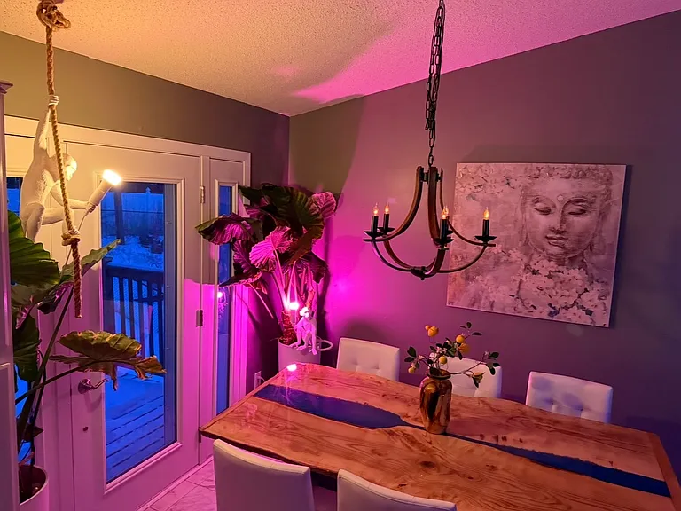 235 Tiffany Dr — Photo 7