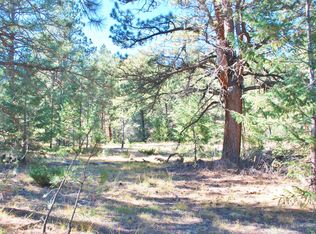 7 Turret Peak Trail, Pine, CO 80470
