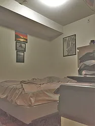 Rented by The Search D&M