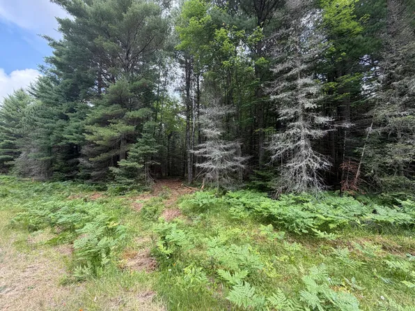3 Watersmeet Lake Rd, Eagle River, WI 54521