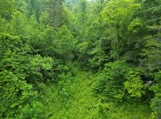 9911 Big Wildcat Rd, Manchester, KY 40962