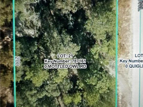 15281 Mottled Owl Rd, Brooksville, FL 34614