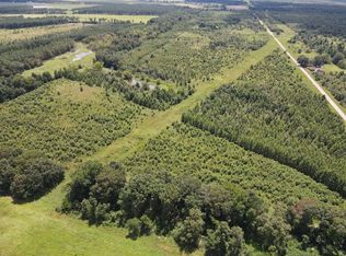 431 Bayou Rd LOT WP001, Griffithville, AR 72060