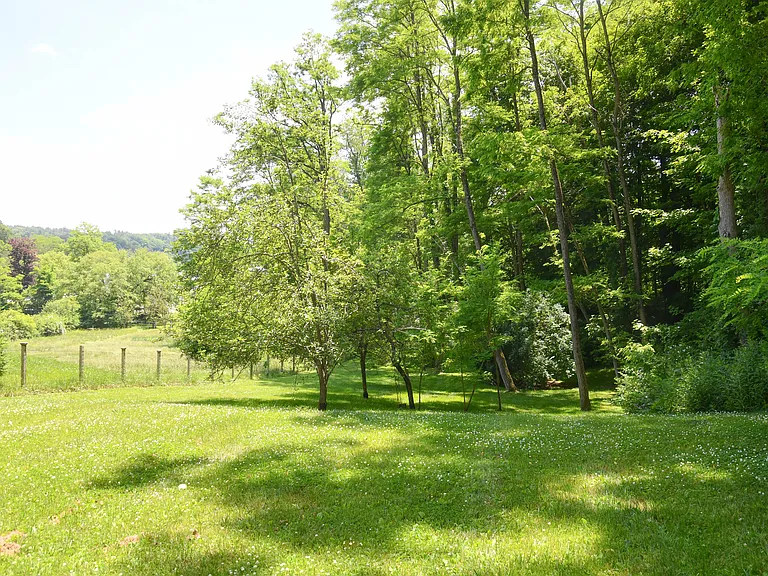 50 Millerton Rd — Photo 12