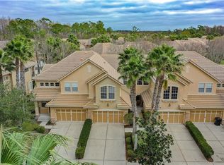 14418 Mirabelle Vista Cir, Tampa, FL 33626
