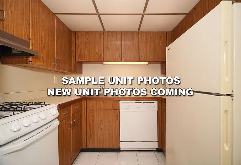 431 Dinahs Ct — Photo 17
