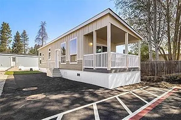 Blue Fir — Photo 1
