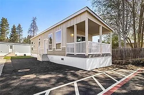 Blue Fir Photo 1