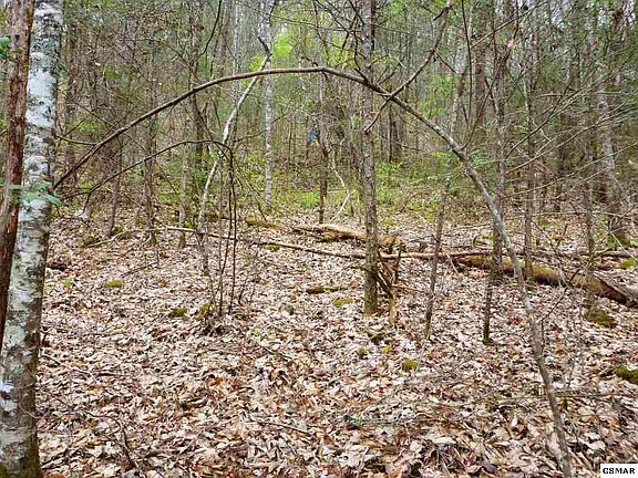 2nd image of 220 Fox Hollow Rd