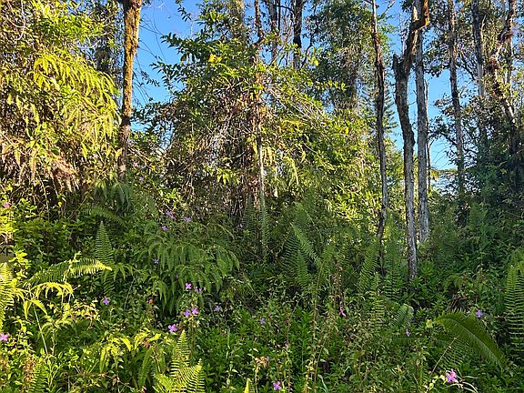 3rd image of Kahoolawe Rd