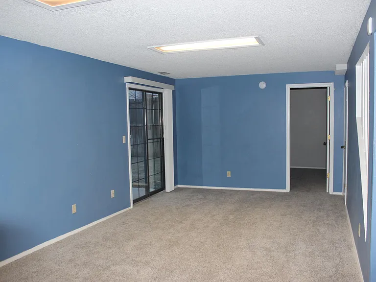 Basement bonus family room