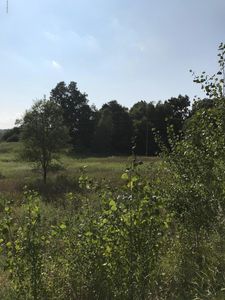 8849 Miller Rd, Delton, MI, 49046