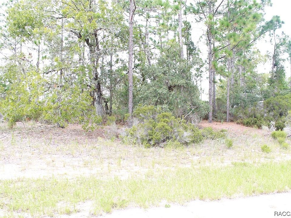2nd image of 10568 N Caldera Ave