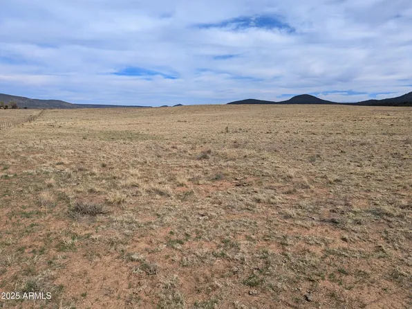 349 S ZACHARIAE RANCH Road #1, Young, AZ 85554