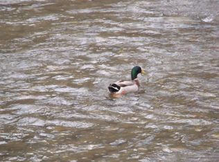 Rafter Rd, Tellico plains, TN 37385