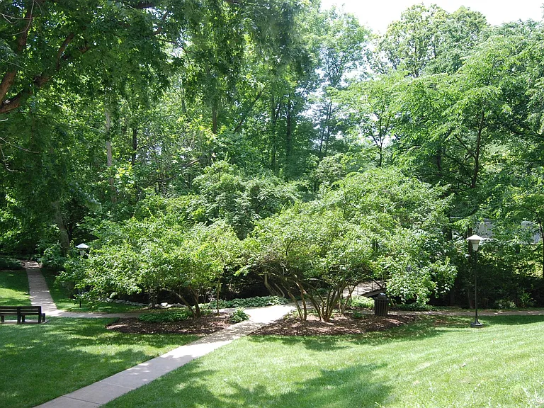 10500 Rockville Pike #1120 — Photo 28