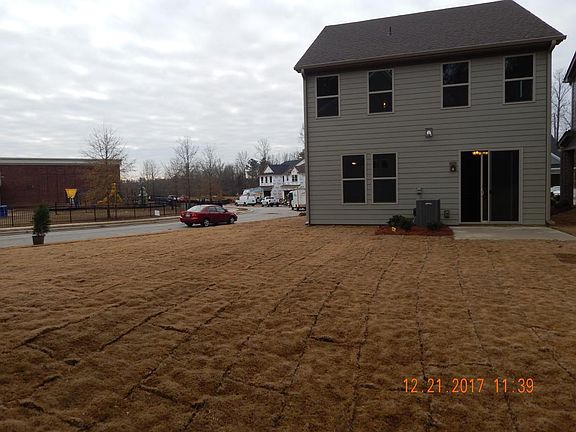 Back view and backyard