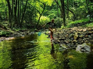 Rendezvous Ln, Fleetwood, NC 28626