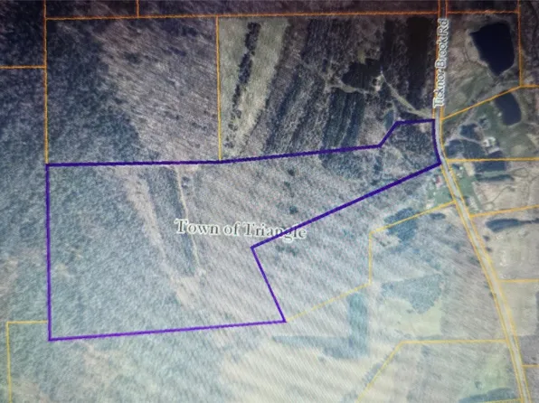 277 Ticknor Brook Rd, Whitney Pt, NY 13862