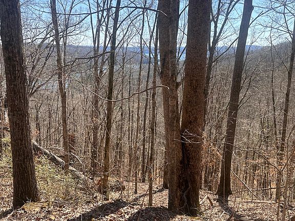 5th image of Dulworth Rd