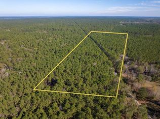 527 Forest Service Rd, Apple Springs, TX 75926