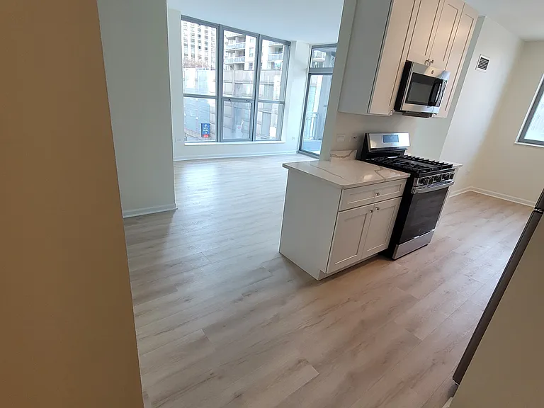 600 N Dearborn St #812 — Photo 9