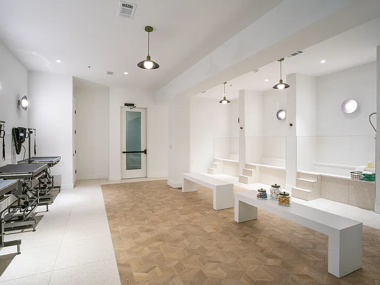 Dog Spa