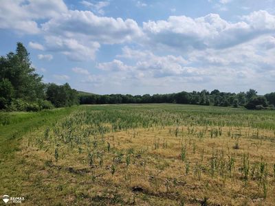 0 Olds Rd, Otisville, MI, 48463