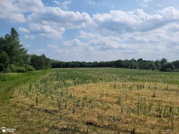 0 Olds Rd, Otisville, MI 48463
