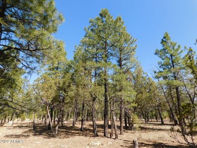 2178 Aztec Cir #169, Happy Jack, AZ, 86024