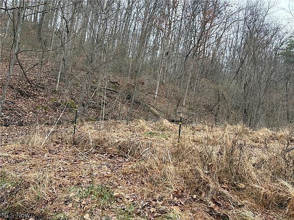 3rd image of Long Run Rd