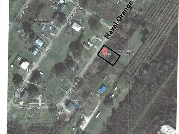 177 Navel Orange Dr, Buras, LA 70041