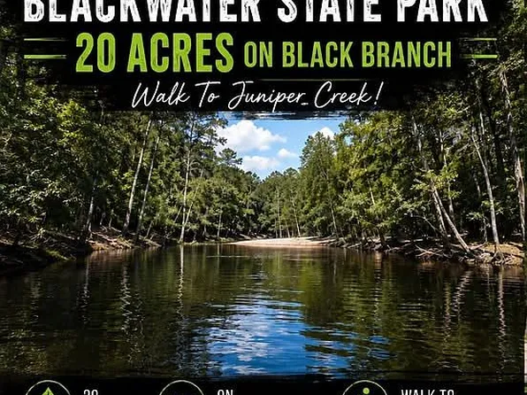 8090 Blackwater Ridge Rd, Milton, FL 32570
