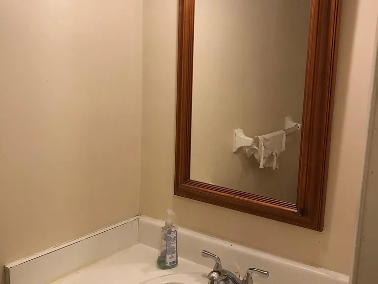 Downstairs Hall Bathroom