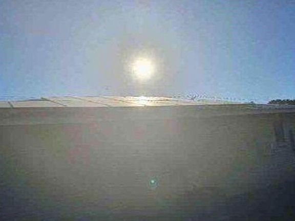 5th image of 1500 Wild Flower Dr