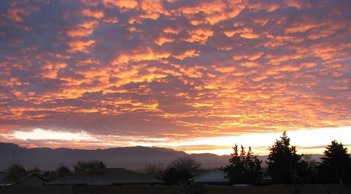 View from backyard