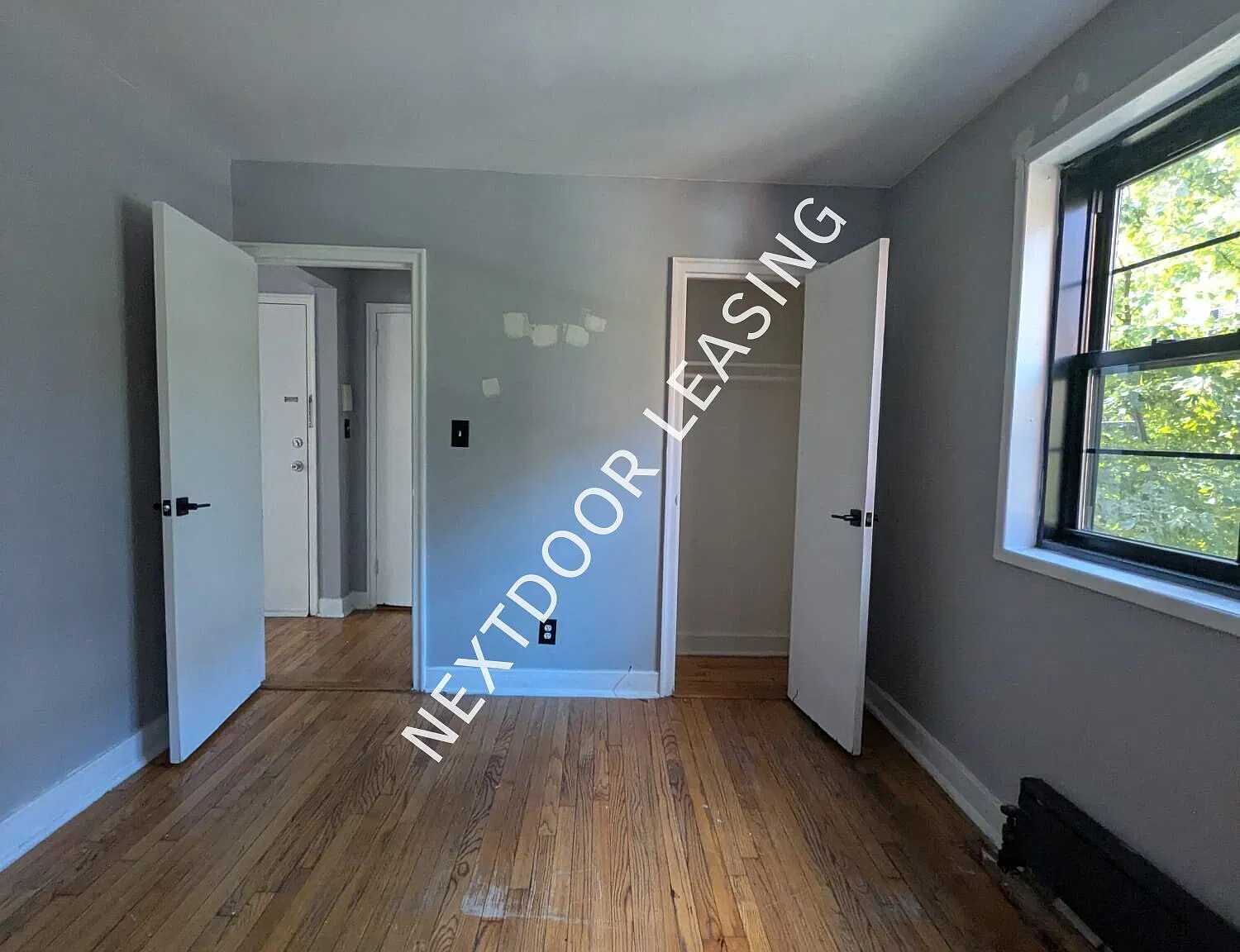 41 Belgrove Dr — Photo 4
