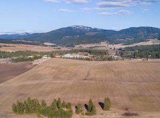 13111 E Gibbs Rd, Mica, WA 99023