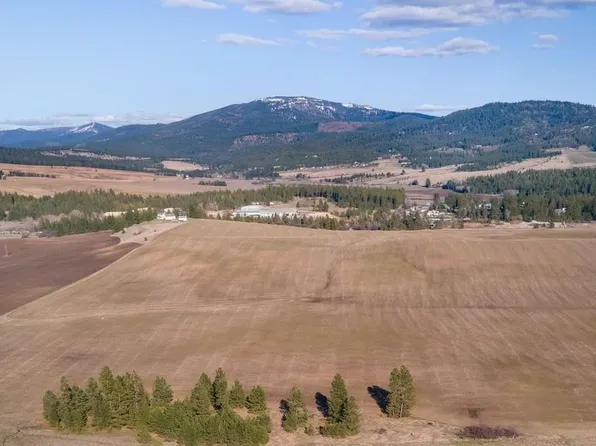 13111 E Gibbs Rd, Mica, WA 99023